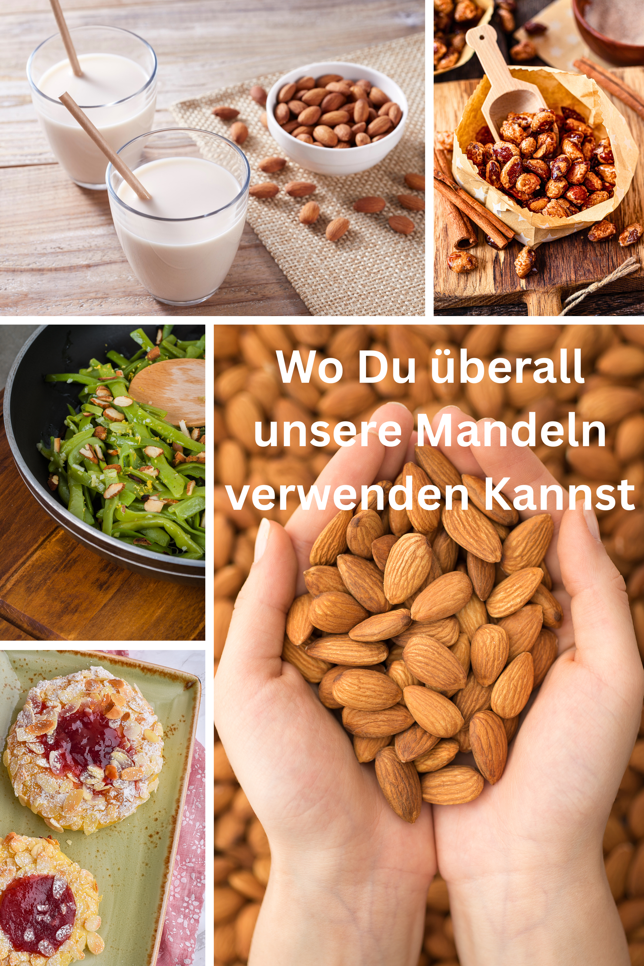 Mandelkerne naturbelassen – Bio - Premiumqualität für gesunden Genuss