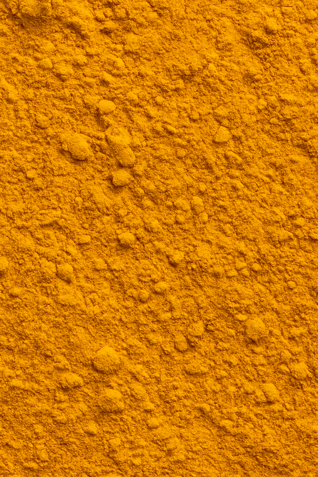 buXtrade Bio Kurkuma Pulver – Natürliches Gold aus der Wurzel – 100g