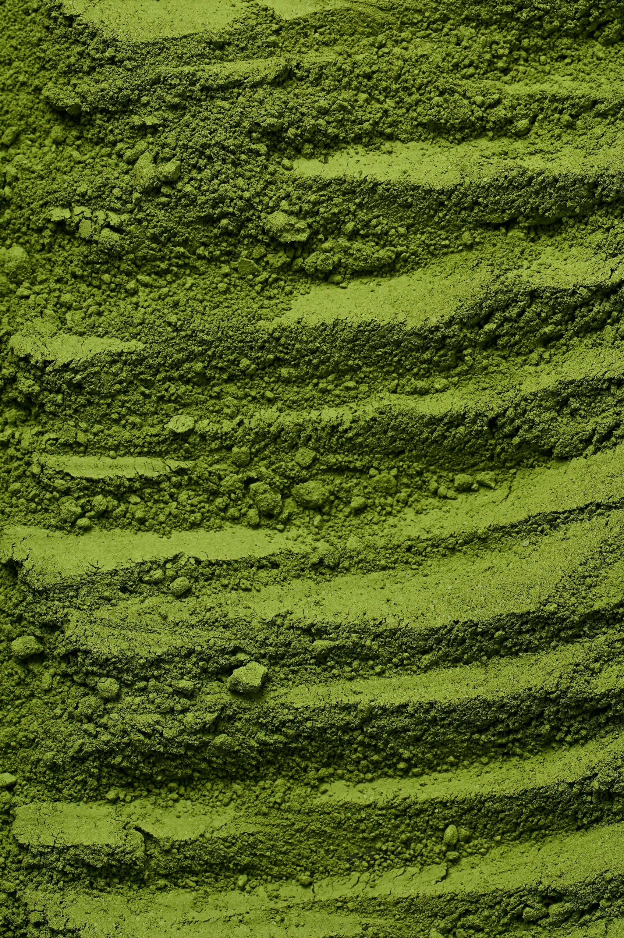 buXtrade Bio Matcha Tee – Premium-Qualität – 100g