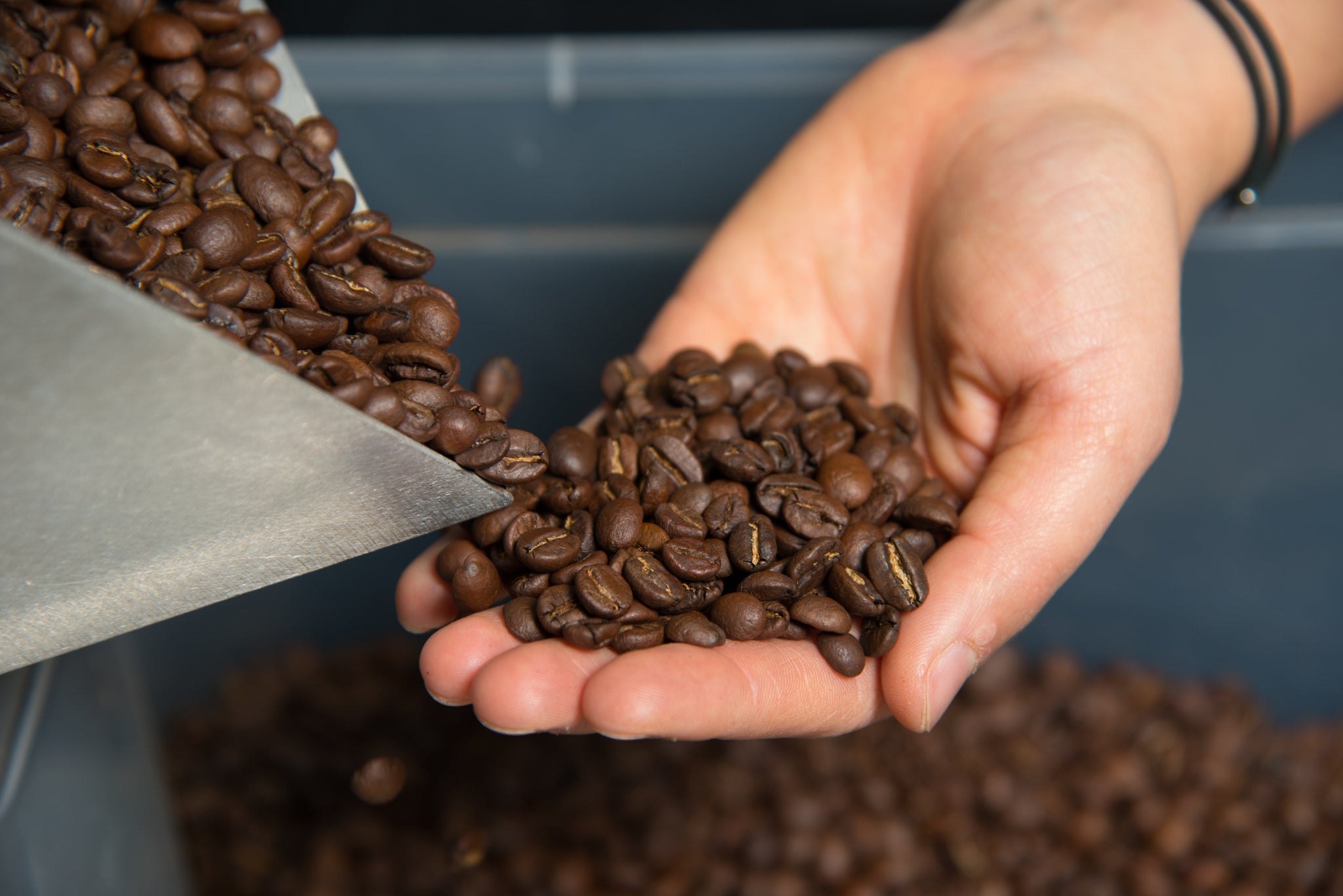 Eine Hand voll Röstkaffee