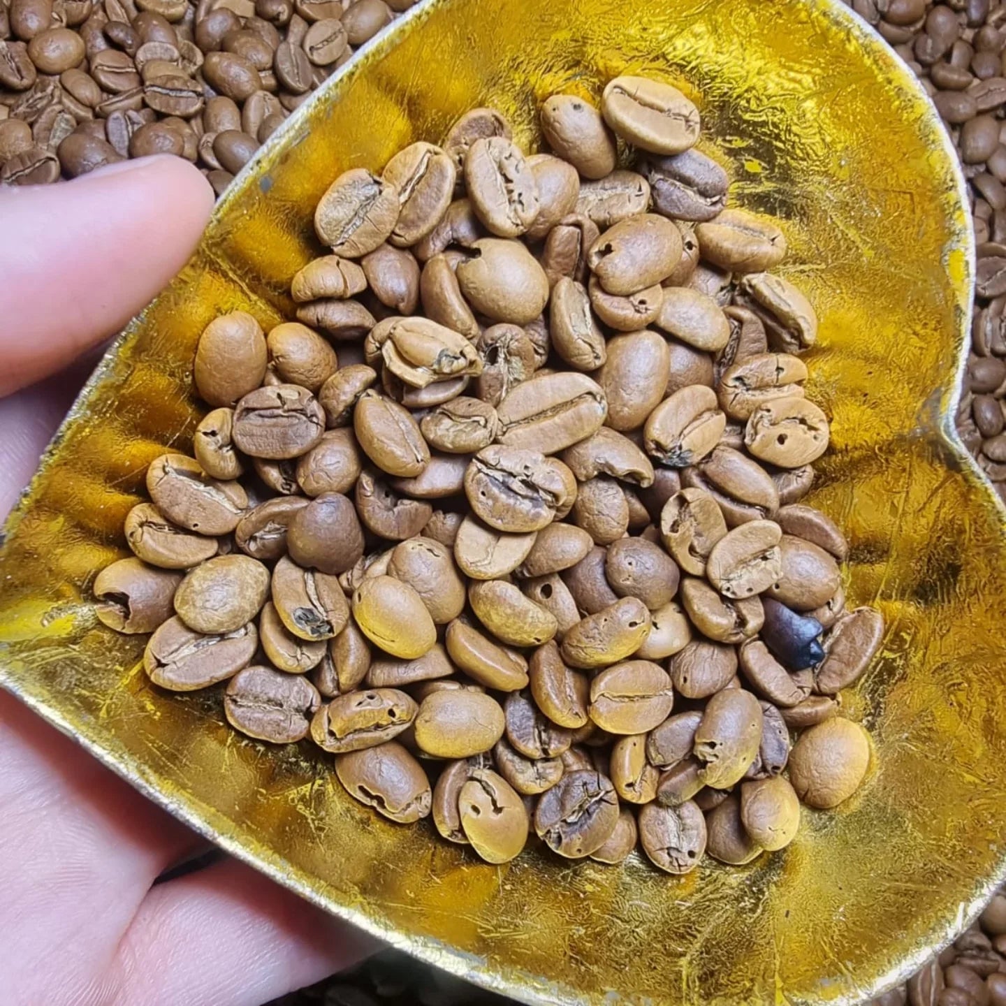 Warum handverlesener Kaffee besser für deine Gesundheit ist