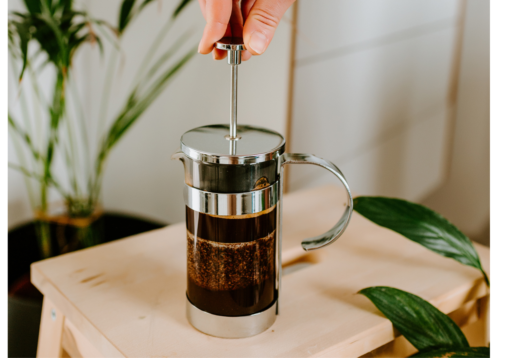 French Press Kaffee – Das Wichtigste für perfekten Genuss