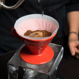 Annas Tipps zur Hario V60 japanische Handbrühmethode als Download