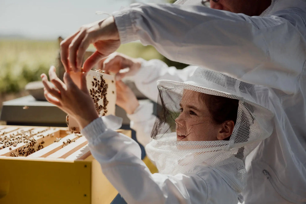 Honig 250g / 500g - Frühjahrsblütenhonig aus der Pfälzer Familienhonigmanufaktur – Naturvielfalt im Glas
