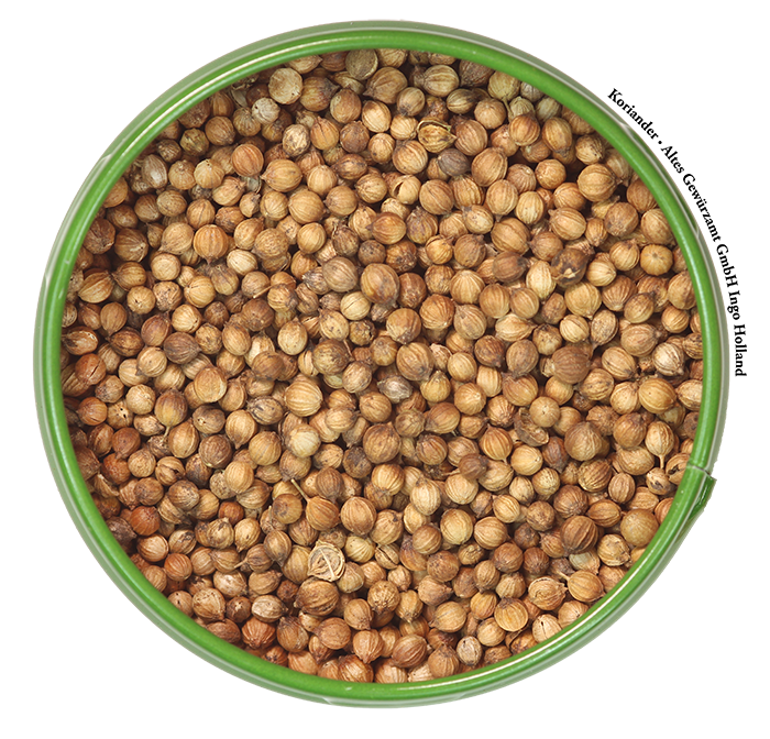 Altes Gewürzamt Korianderkörner (Ganz) – 45g