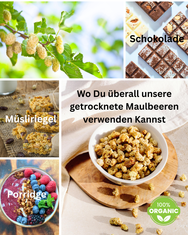 weiße Maulbeeren + Annas Riegel Rezept, getrocknet 200g – Naturbelassener Genuss aus biologischer Herkunft