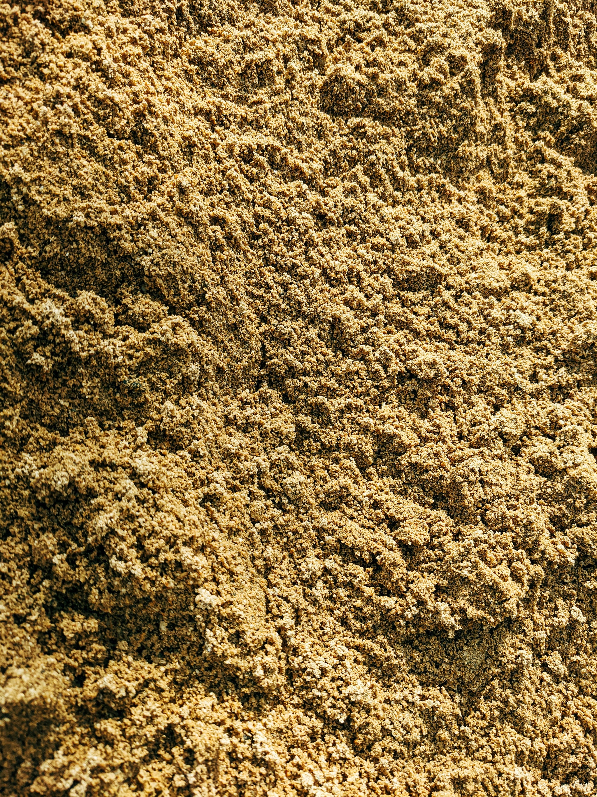 buXtrade Schwarzes Bio Maca Pulver – Die Kraftwurzel – 100g