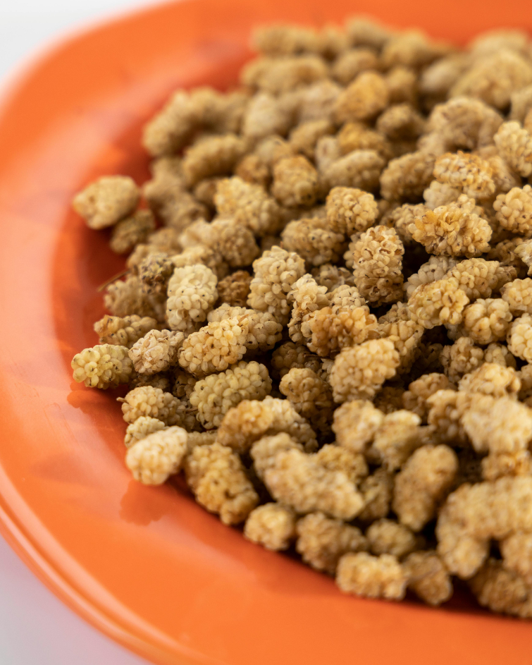 weiße Maulbeeren + Annas Riegel Rezept, getrocknet 200g – Naturbelassener Genuss aus biologischer Herkunft