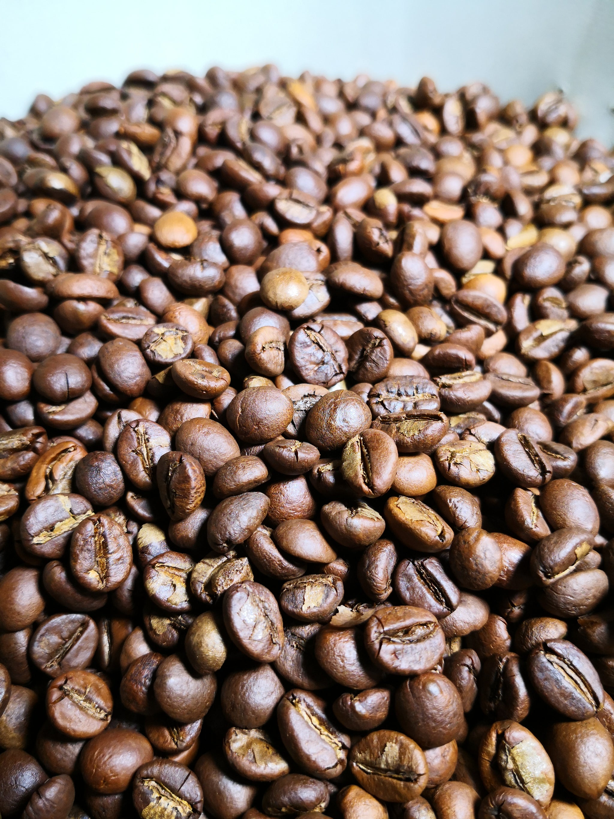 Kaffee-Seminar